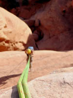 Moab Canyoneering tour
