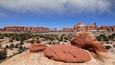 hiking in canyonlands needles